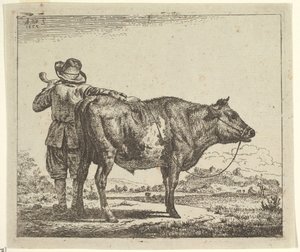 Jeune berger avec un taureau, de Différents animaux, 1659 - Adriaen van de Velde