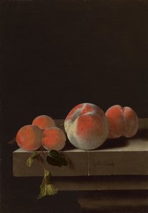 Pêches et abricots sur un rebord de pierre - Adrian Coorte