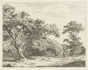 Paysage avec arbres et un homme en route - Adrianus Serné