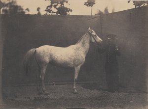 Pascaline, vers 1855-1860