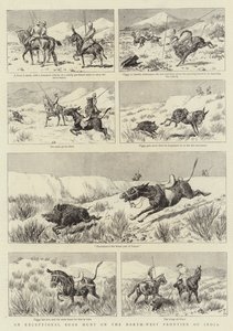 Une chasse au sanglier exceptionnelle à la frontière nord-ouest de l