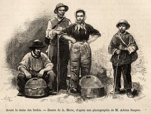 Avant le commerce des moutons, tout le personnel de la ferme était employé à cette tâche, garçon, serviteur, sous la supervision du berger, le lait était collecté dans les seilles (vase métallique étamé), gravure d