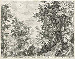 Paysage forestier