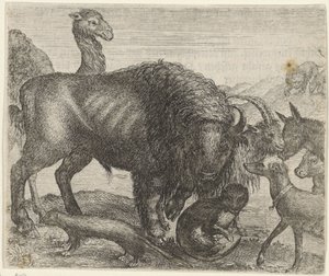 Fable du bison et des autres animaux