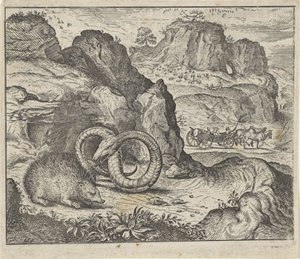 Fable du hérisson et du serpent