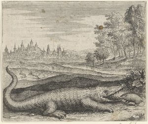 Fable du crocodile et de la mangouste