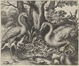Fable du cygne et de la cigogne