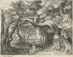 Chasse au cerf près d