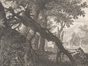 Une forêt avec une chasse au lapin