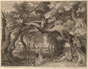 Chasse au cerf près d