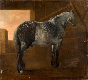 Un cheval gris pommelé - Aelbert Cuyp