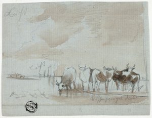 Bétail dans l
