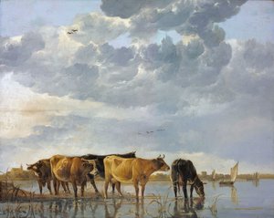 Bétail dans l