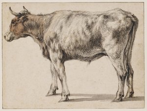  - Aelbert Cuyp