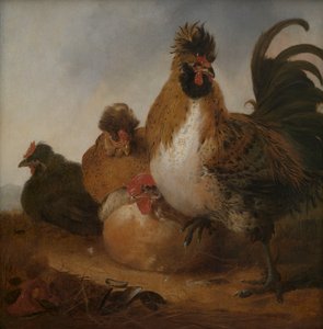  - Aelbert Cuyp