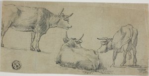 Trois croquis de vaches - Aelbert Cuyp