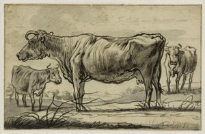  - Aelbert Cuyp