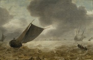 Navigation par temps agité - Aernout Smit