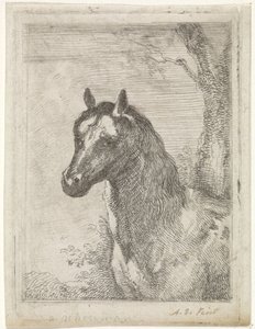 Tête de cheval - Aert Schouman (signed by artist)