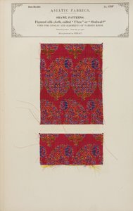 Échantillon de tissu en soie figurée fabriqué à Herat, de The Collection of the Textile Manufacturers of India, par John Forbes Watson, publié en 1866