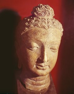 Tête de Bouddha, style gréco-bouddhiste, de Hadda