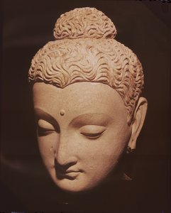 Tête de Bouddha, style gréco-bouddhiste, de Hadda