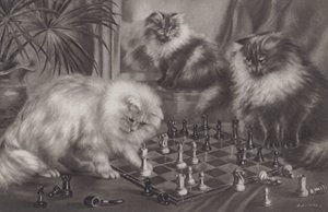 Groupe de chats jouant avec des pièces d