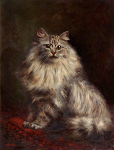Chat persan, c.1908-20 - Agnes Augusta Talboys