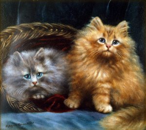 Image inconnue - Agnes Augusta Talboys