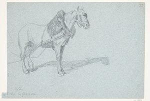 Un cheval