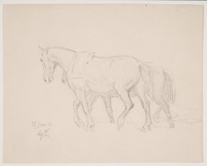 À cheval - Agnes Lunn