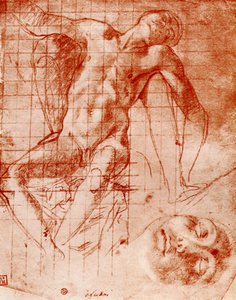 Études - Agnolo Bronzino