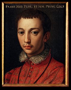 Portrait de François I de Médicis (1541-1587) Jeune garçon Peinture de Bronzino 16ème siècle