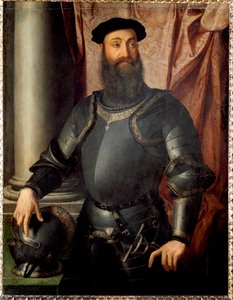 Portrait du Condottiere Stefano Colonna - Agnolo Bronzino