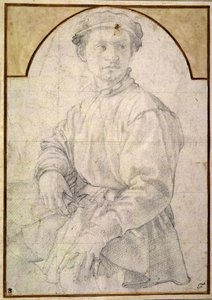 Étude pour un jeune homme avec un luth - Agnolo Bronzino