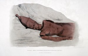 Tête colossale découverte dans les ruines de Carnak par G Belzoni, 1820