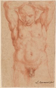 Nu masculin - Agostino Carracci