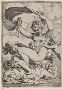 Vénus ou Galatée soutenue par des dauphins - Agostino Carracci