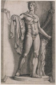 Speculum Romanae Magnificentiae : Apollon du Belvédère, vers 1514-36