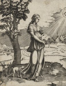 La Sibylle de Cumes, 1516 (gravure sur papier vergé)