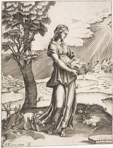 La Sibylle de Cumes - Agostino dei Musi