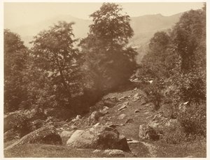 La Vallée du Lys (Coup de Vent) - Aimé Civiale