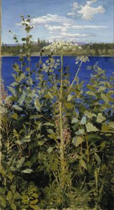 Angélique sauvage - Akseli Gallen Kallela
