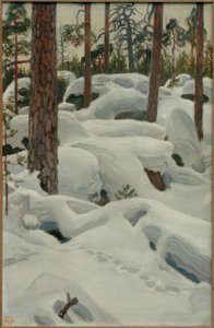 La grotte du lynx