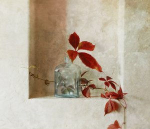 Un petit coin paisible en automne - Ala Pneuma