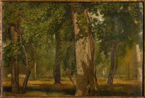 Le bois - Albano Lugli Carpi