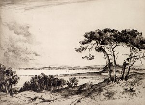 Poole
