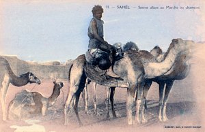 Serere, le Sahel, Sénégal, 20e siècle - Albaret