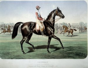 Courses : Suzerain, vainqueur du derby de Chantilly en 1868. Lithographie par Albert Adam (1833-?) Collection privée