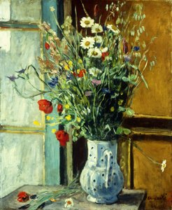 Wildflowers ; Fleurs des Champs